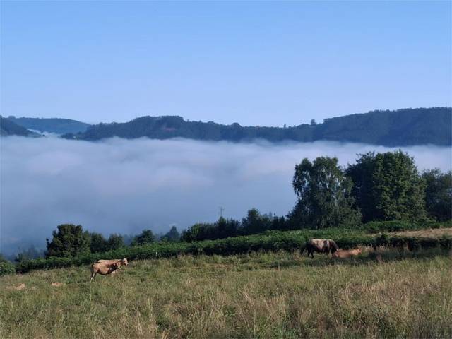 Terreno urbanizable en Venta en Aldea Migoya, 3A en Parroquias surorientales