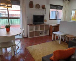 Sala d'estar de Àtic de lloguer en  Granada Capital amb Terrassa, Moblat i Es permeten mascotes
