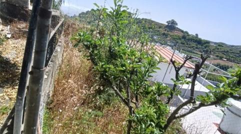 Foto 5 de Casa adosada en venda a Calle las Cuevas, 34, Valleseco, Las Palmas