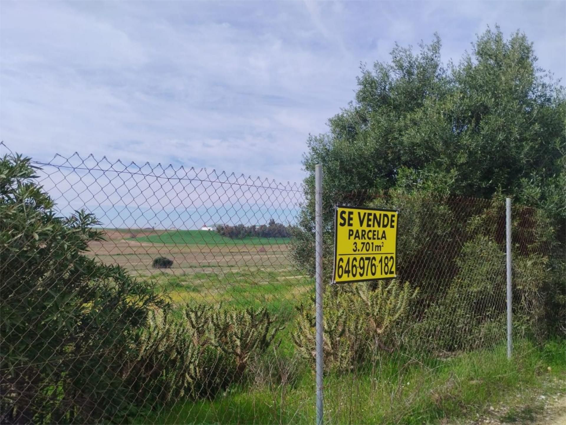 Urbanitzable en venda a Camino Monterrio, 10, Sanlúcar la Mayor