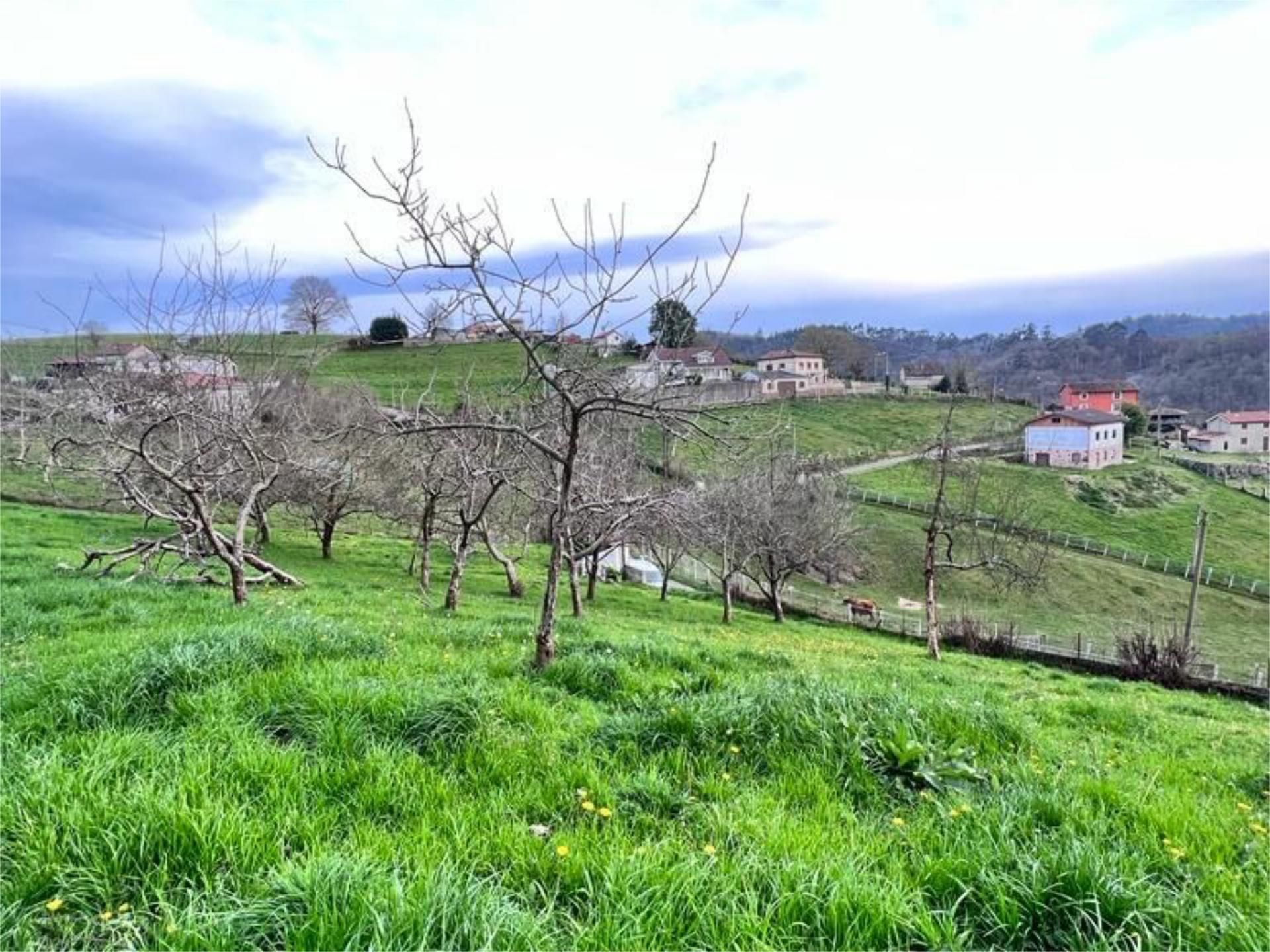 Urbanitzable en venda en Siero