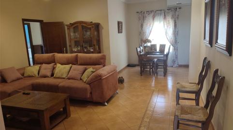 Photo 5 of Single-family semi-detached for sale in Avenida de Andalucia, 35, Cañada Rosal, Sevilla