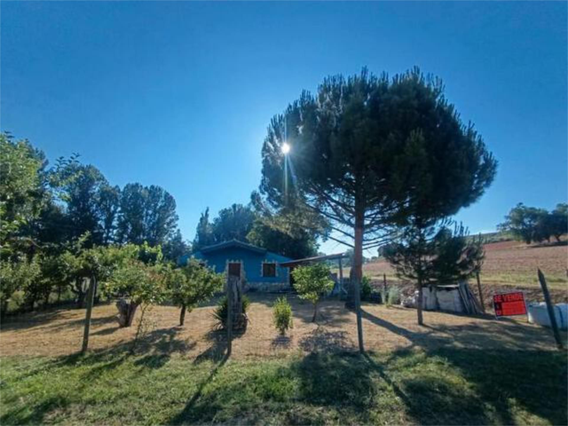 Jardí de Casa o xalet en venda en Burgo de Osma - Ciudad de Osma amb Jardí privat, Terrassa i Traster