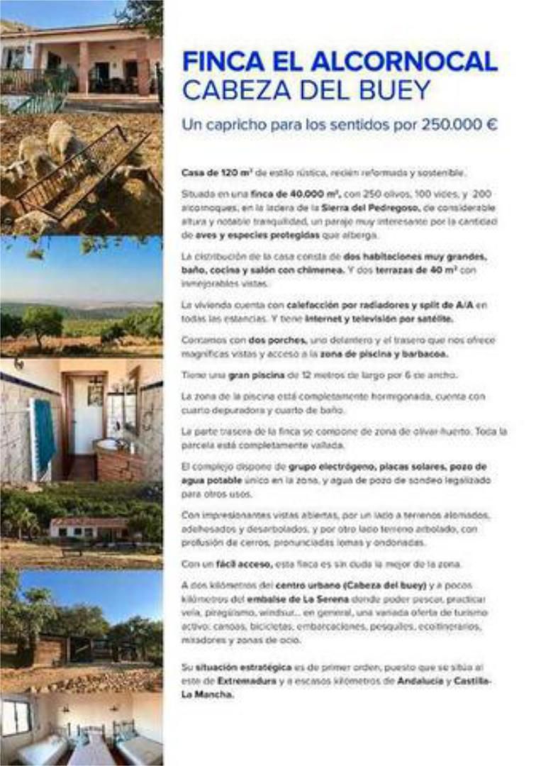 Jardí de Casa o xalet en venda en Cabeza del Buey amb Jardí privat, Terrassa i Traster