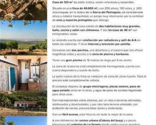 Garden of House or chalet for sale in Cabeza del Buey  with Private garden, Terrace and Storage room