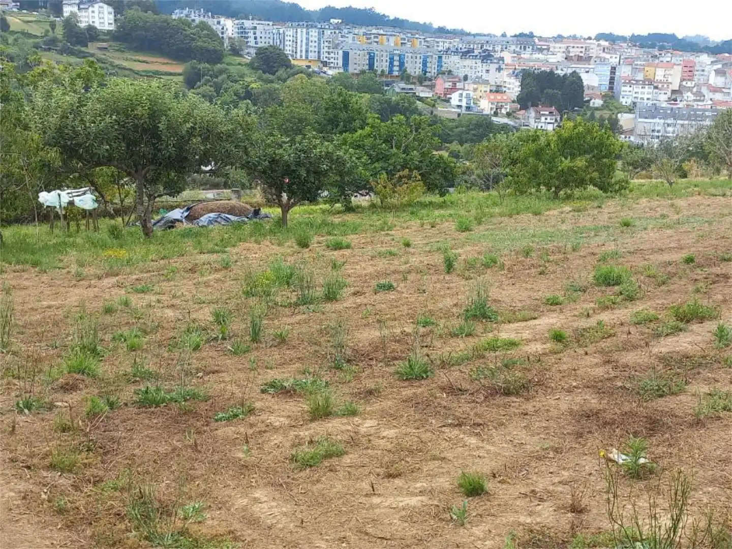 Non-constructible Land for rent in Betanzos