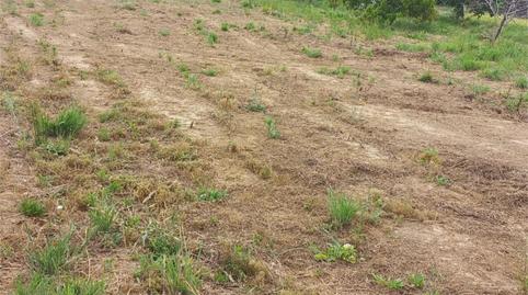 Non-constructible Land to rent in Rúa Mandeo, 98, Betanzos, A Coruña - image 5 Photo 5 of Non-constructible Land to rent in Rúa Mandeo, 98, Betanzos, A Coruña