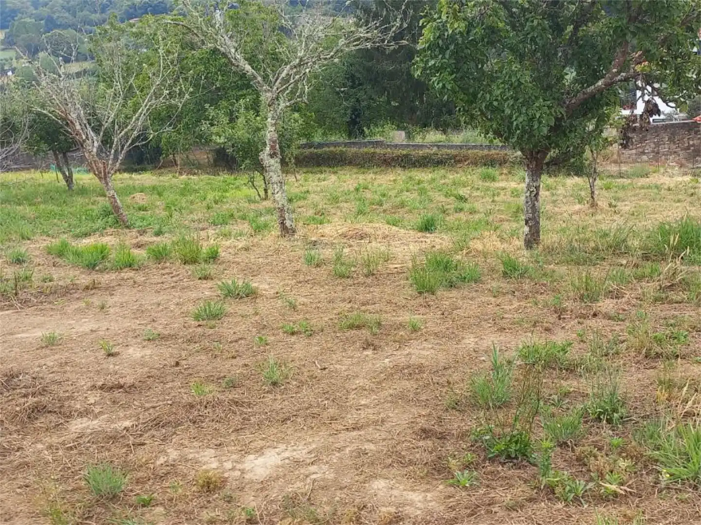 Non-constructible Land for rent in Betanzos