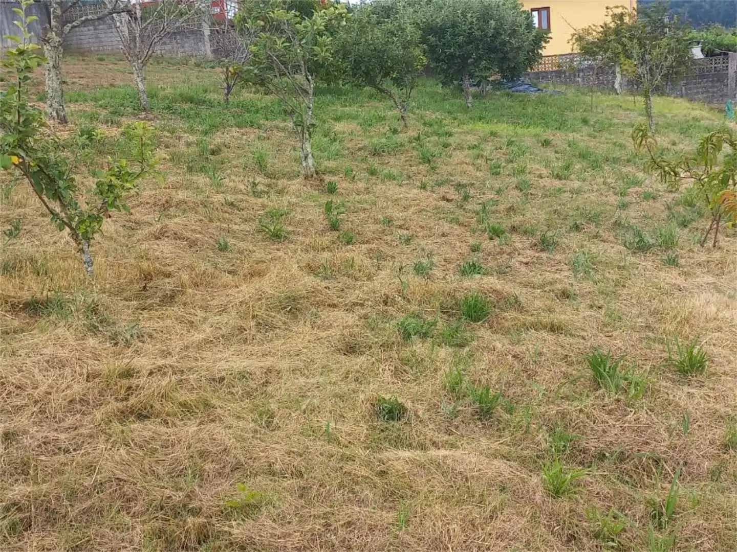 Non-constructible Land for rent in Betanzos