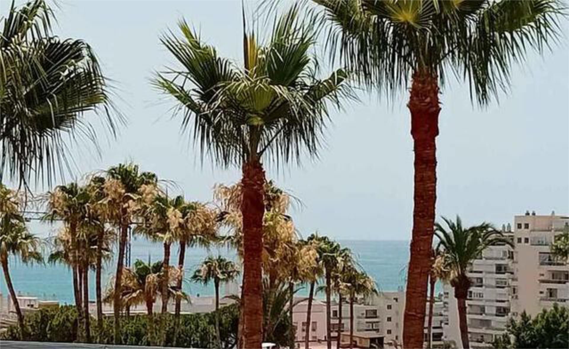 Exterior view of Apartment for sale in Torremolinos  with Terrace