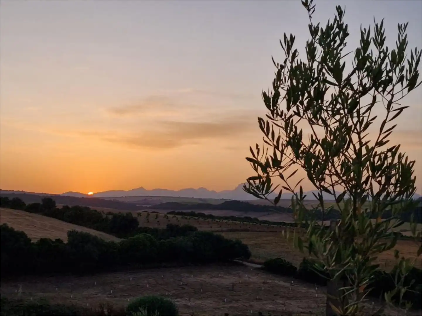 Exterior view of Constructible Land for sale in Arcos de la Frontera