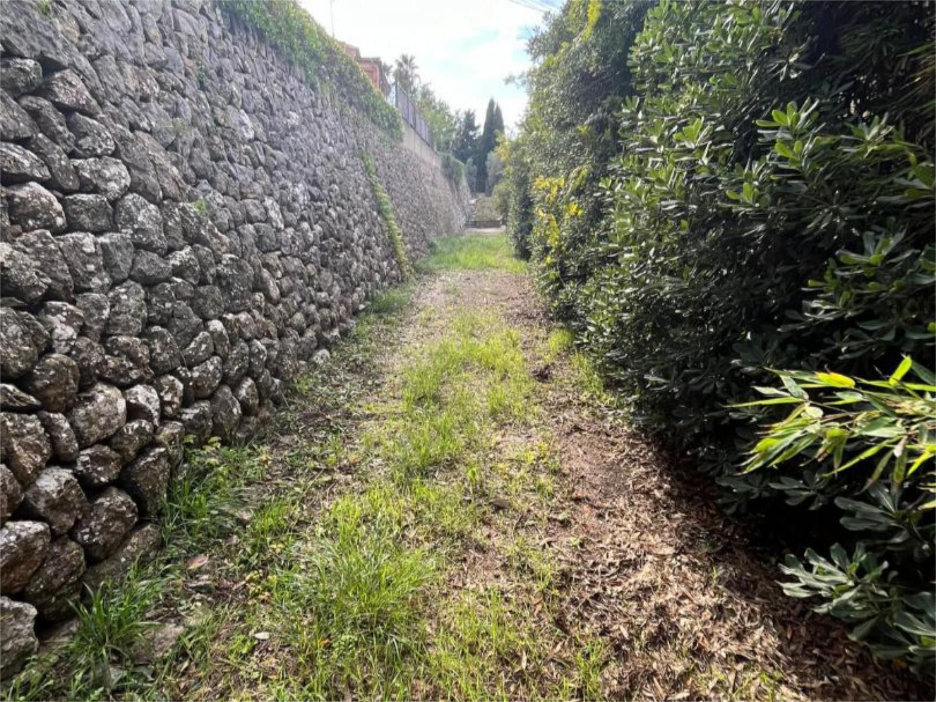 Land for sale in Esporles