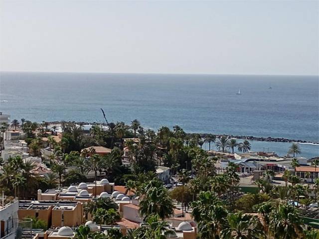 Apartamento en Alquiler en Calle Guatemala, 4 en Playa de las Américas