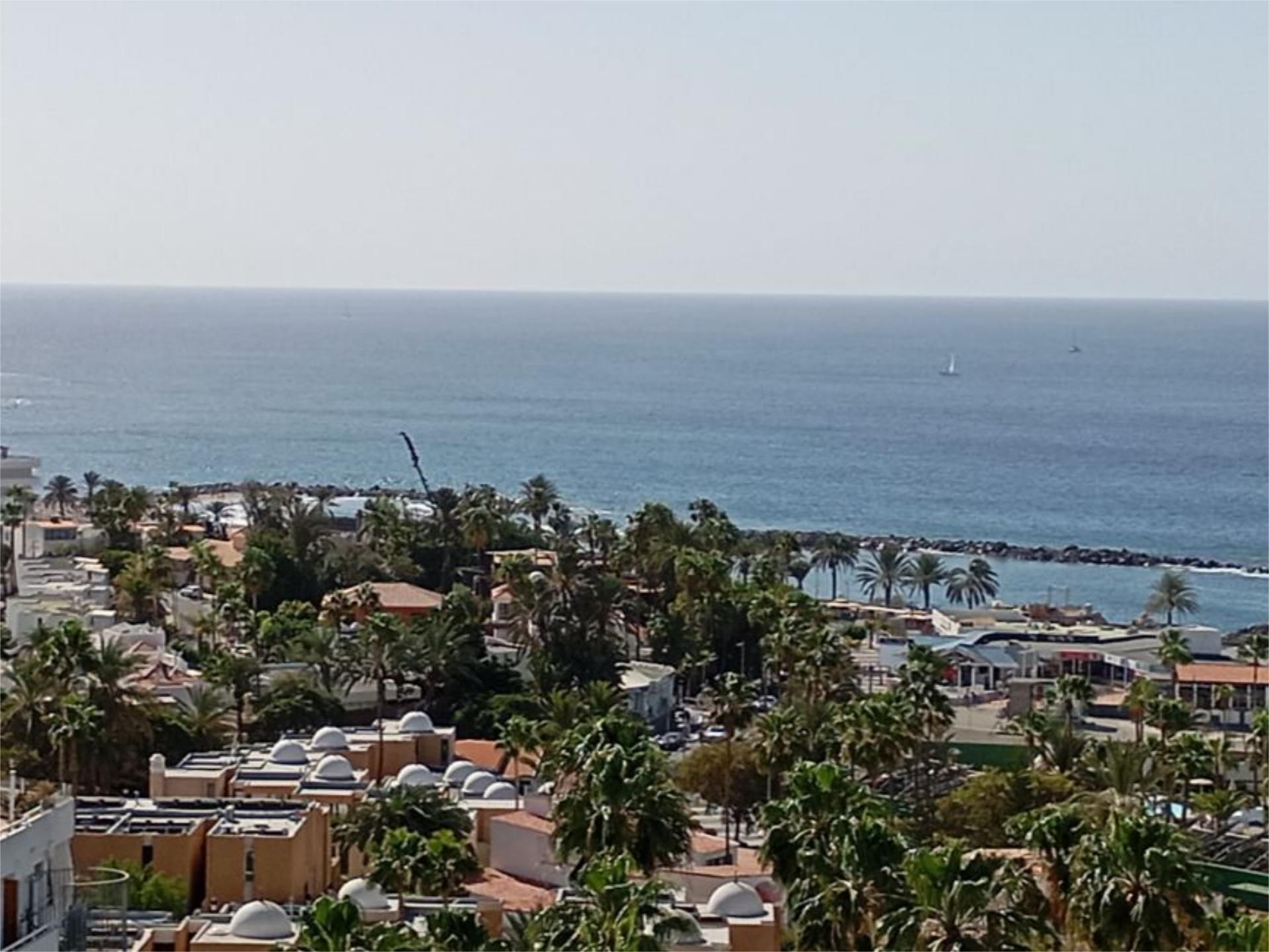Exterior view of Apartment to rent in Adeje  with Terrace, Swimming Pool and Balcony