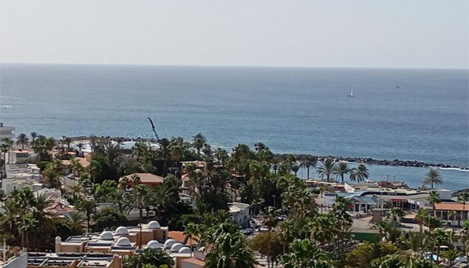 Foto 1 de Apartament de lloguer a Calle Guatemala, 4, Playa de las Américas, Santa Cruz de Tenerife