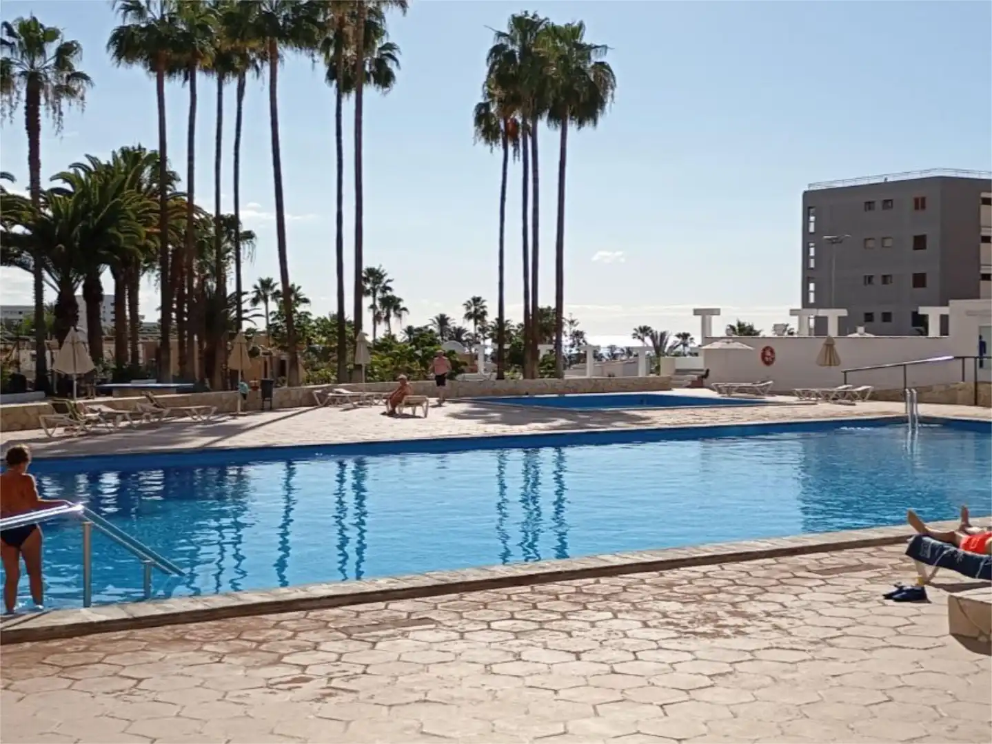 Wohnungen zur Miete in Calle Guatemala, 4, Playa de las Américas Schwimmbecken von Wohnungen zur Miete in Adeje mit Terrasse, Schwimmbad und Möbliert