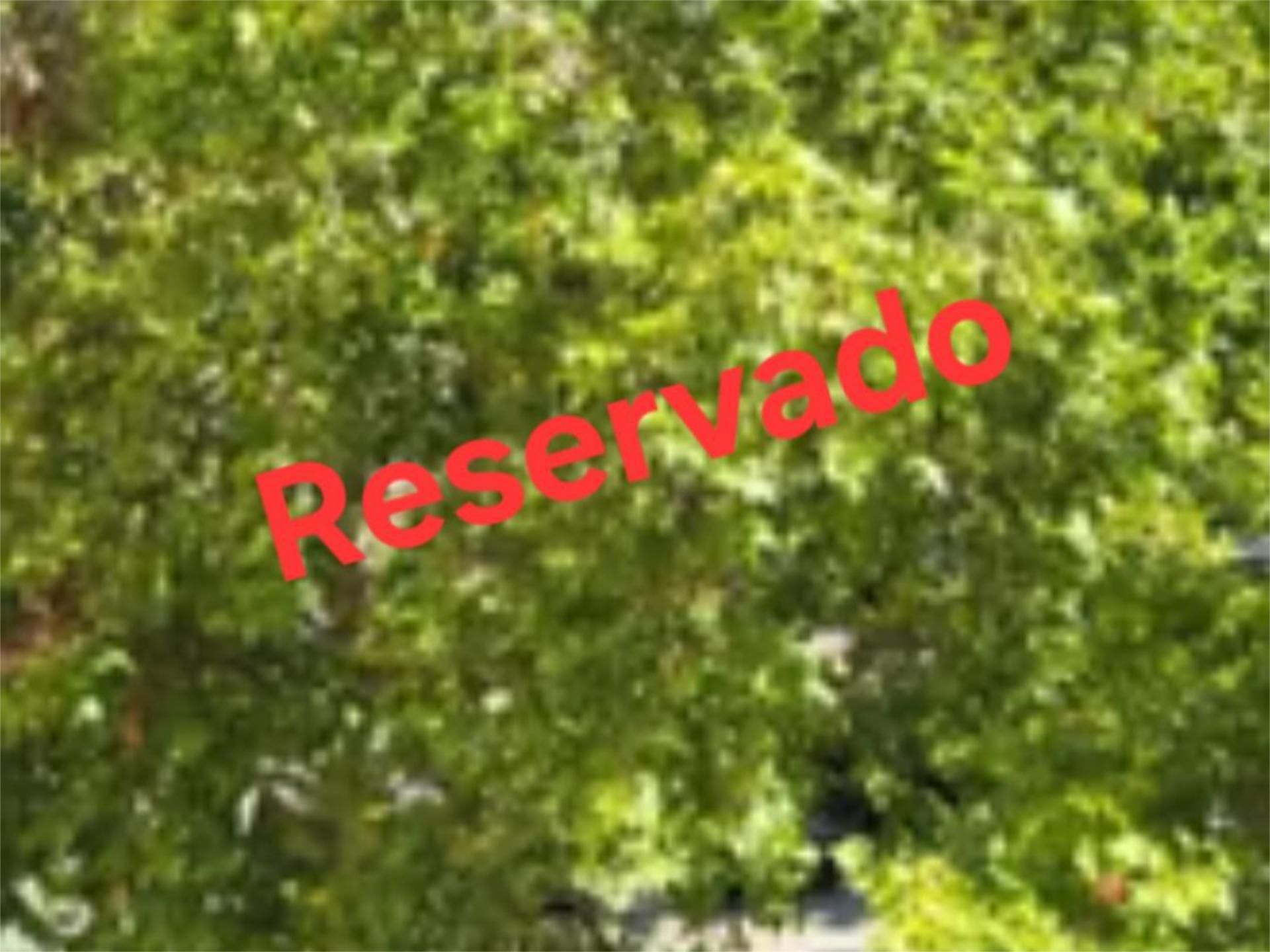 Garden of Flat for sale in  Madrid Capital