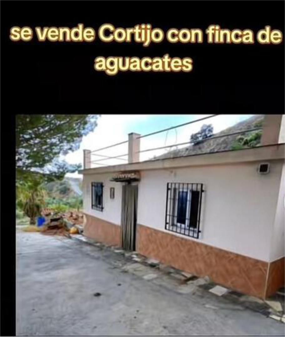 Exterior view of House or chalet for sale in Almuñécar