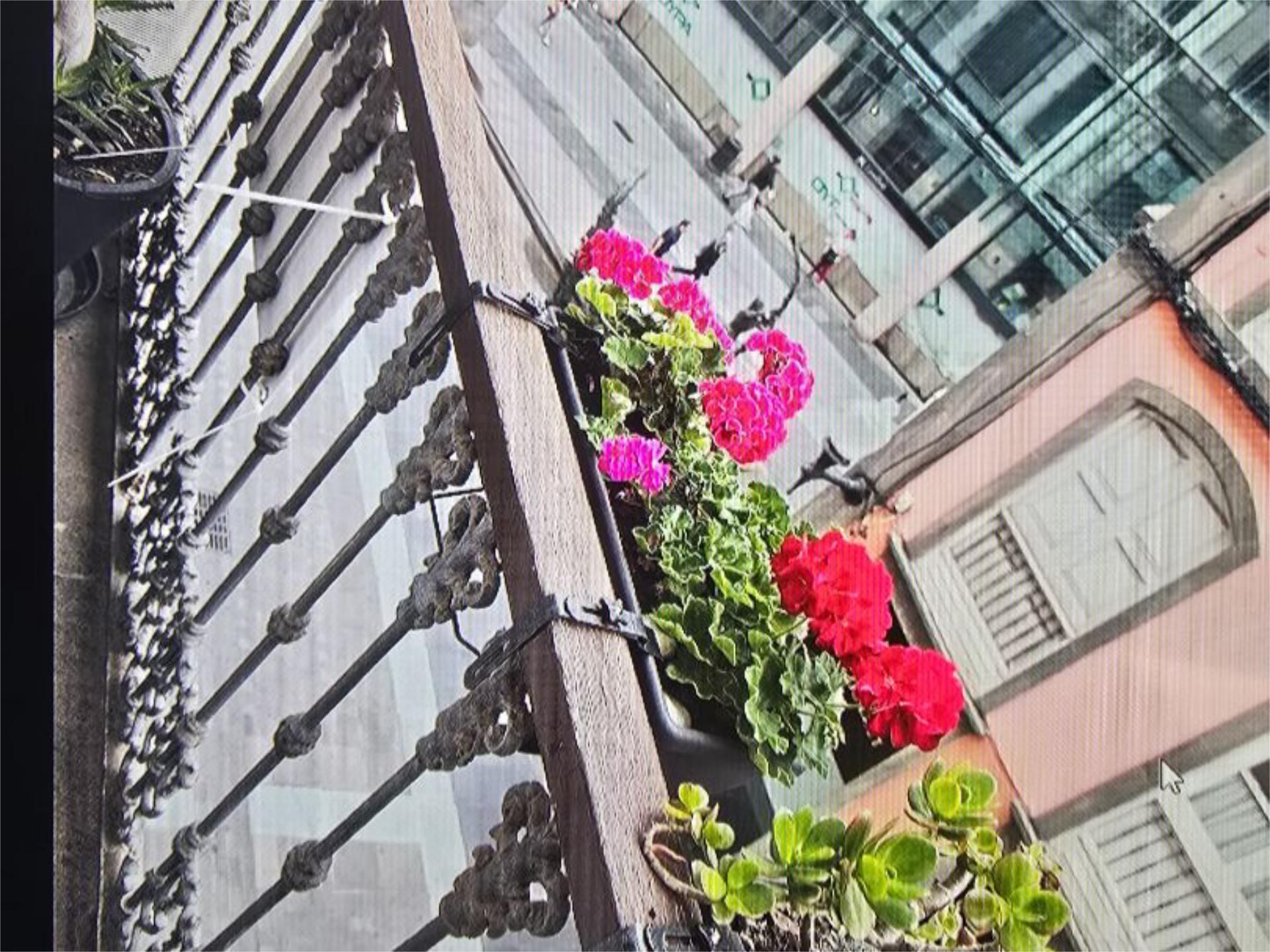 Balcony of Flat to rent in Las Palmas de Gran Canaria  with Furnished and Balcony
