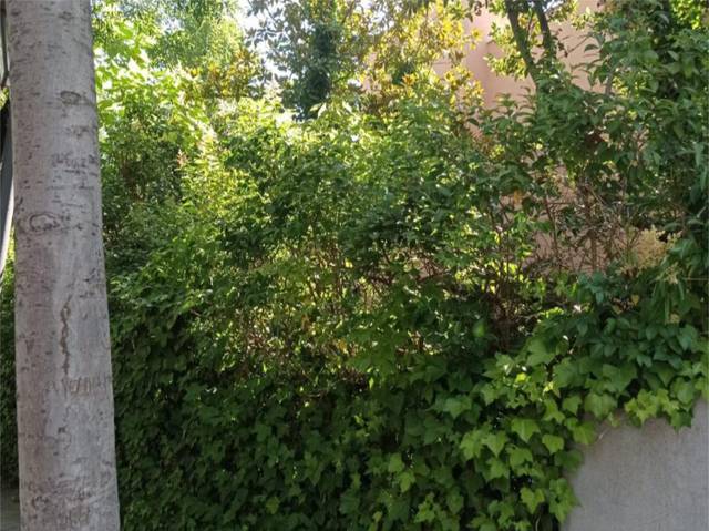 Casa-chalet en Venta en Calle del Genil, 2 en El Viso