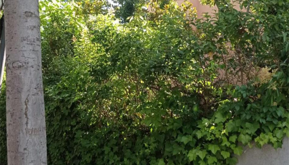 Casa o xalet en venda a Calle del Genil, 2, El Viso, Madrid Capital - imatge 1 Foto 1 de Casa o xalet en venda a Calle del Genil, 2, El Viso, Madrid Capital