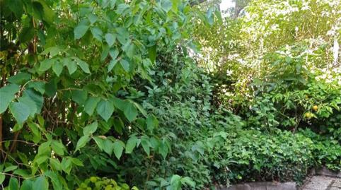 Casa o xalet en venda a Calle del Genil, 2, El Viso, Madrid Capital - imatge 2 Foto 2 de Casa o xalet en venda a Calle del Genil, 2, El Viso, Madrid Capital