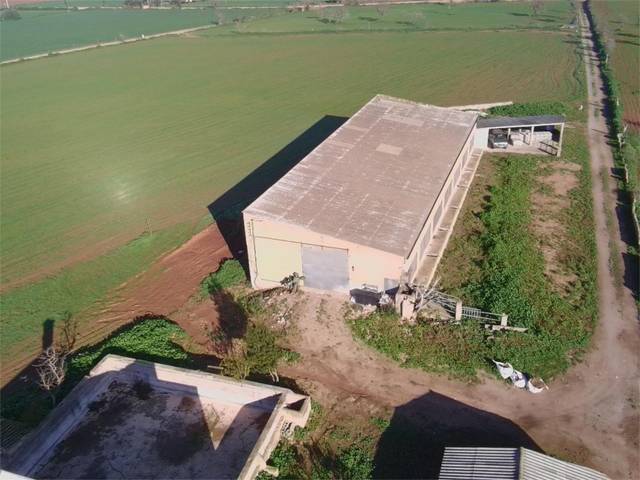 Trastero en Alquiler en Carrer de Campos, 10 en Felanitx Poble