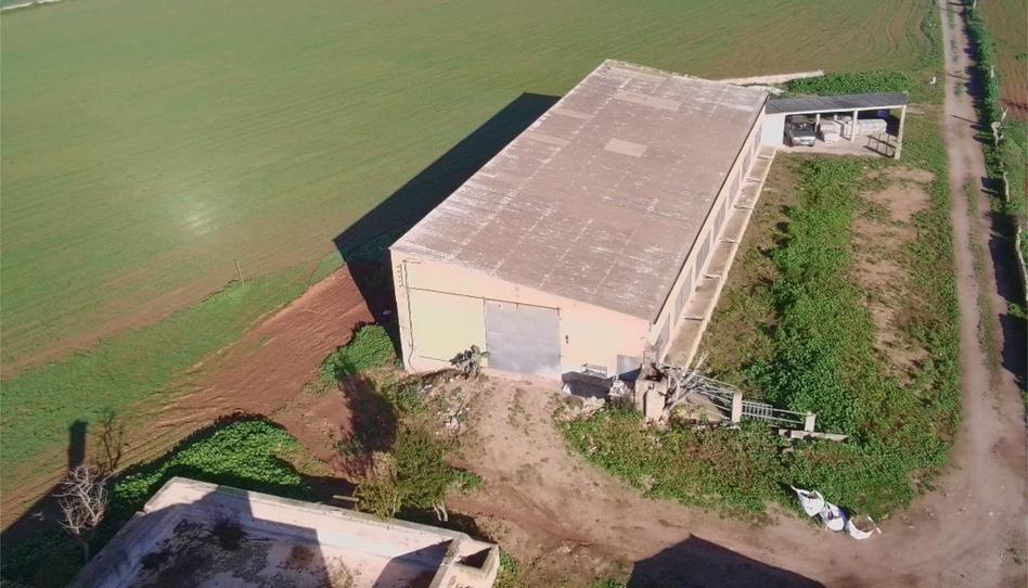 Photo 1 of Box room to rent in Street Carrer de Campos, 10, Felanitx Poble, Illes Balears