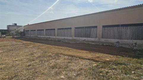 Photo 4 of Box room to rent in Street Carrer de Campos, 10, Felanitx Poble, Illes Balears