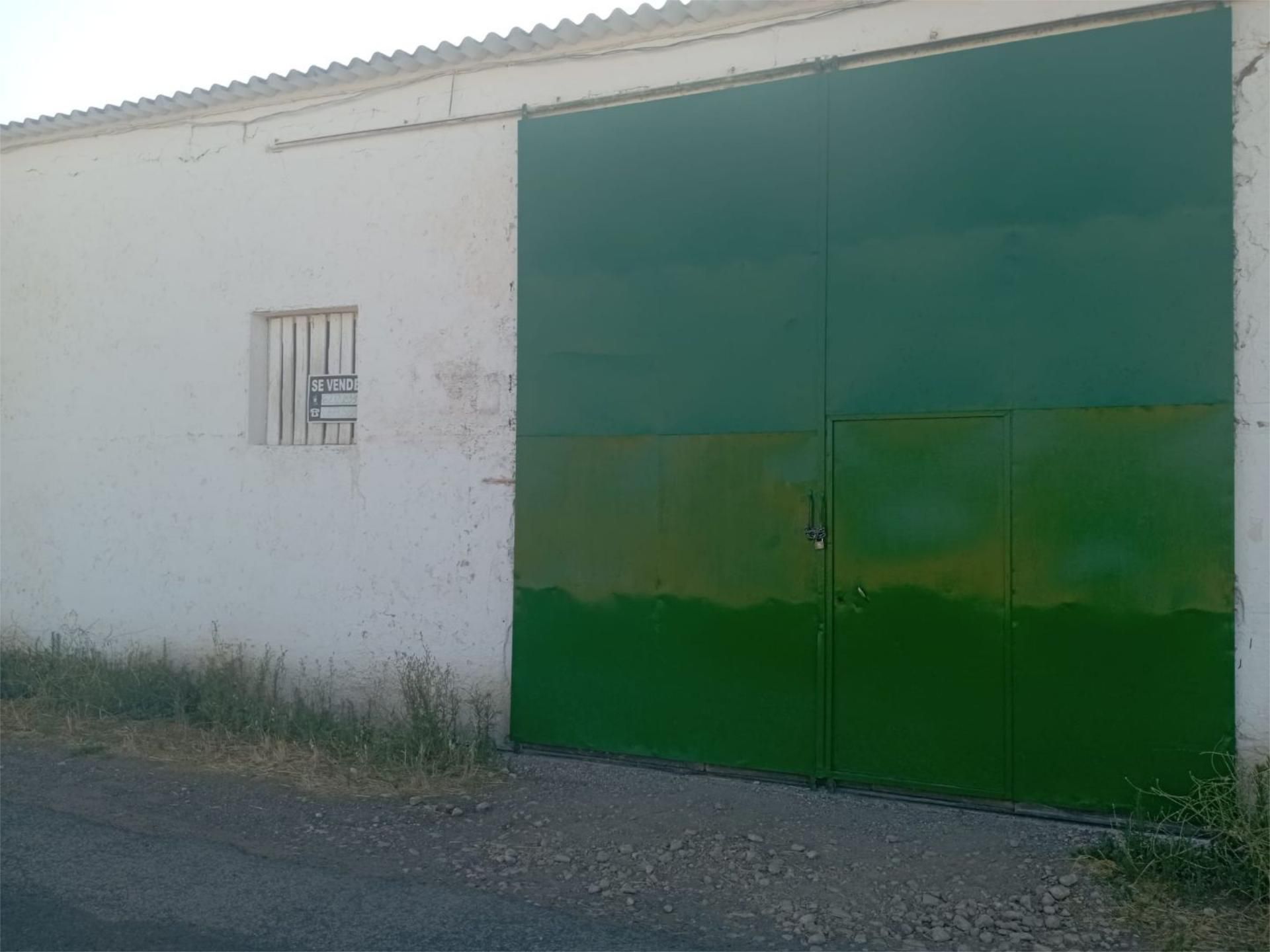 Vista exterior de Finca rústica en venda en Torralba de Calatrava