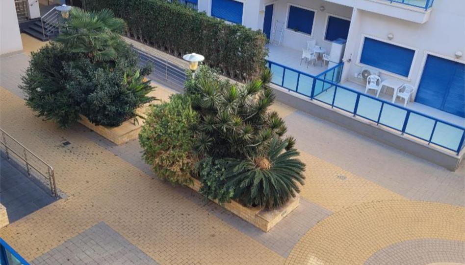 Foto 1 de Apartament en venda a Glorieta del Reino Unido, 6, Palmeral, Alicante