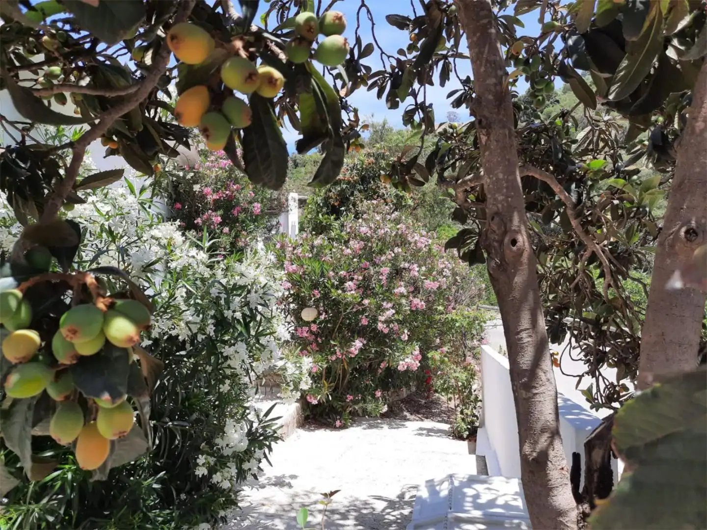 Country homes for sale in Calle Real, 24, Iznájar Garden of Country homes for sale in Iznájar with Air Conditioner, Heating and Private garden