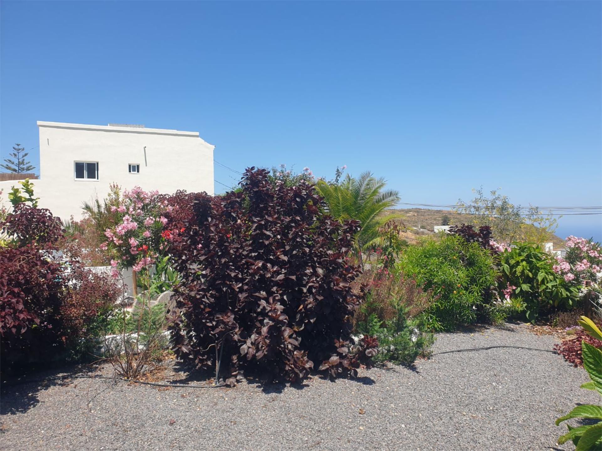 Garden of Single-family semi-detached for sale in El Rosario  with Terrace, Swimming Pool and Balcony