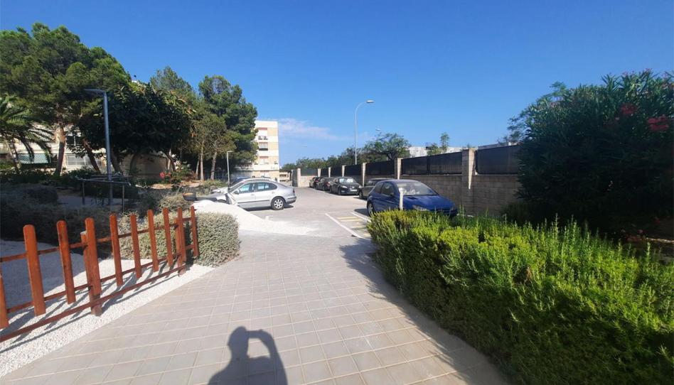 Pis en venda a Avenida de Antonio Ramos Carratalá, 90, Juan XXIII, Alicante - imatge 1 Foto 1 de Pis en venda a Avenida de Antonio Ramos Carratalá, 90, Juan XXIII, Alicante