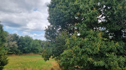 Photo 3 of House or chalet for sale in Lugar Xerive, 1, Chantada, Lugo