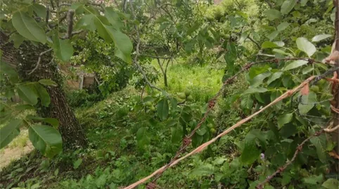 Photo 4 of Flat for sale in Calle Pumareña, 1, Cillorigo de Liébana, Cantabria