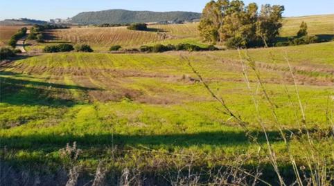 Apartament en venda a Diseminado Ds, 9, Arcos de la Frontera, Cádiz - imatge 4 Foto 4 de Apartament en venda a Diseminado Ds, 9, Arcos de la Frontera, Cádiz