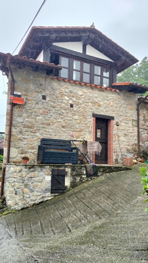 Exterior view of Single-family semi-detached for sale in Peñamellera Alta