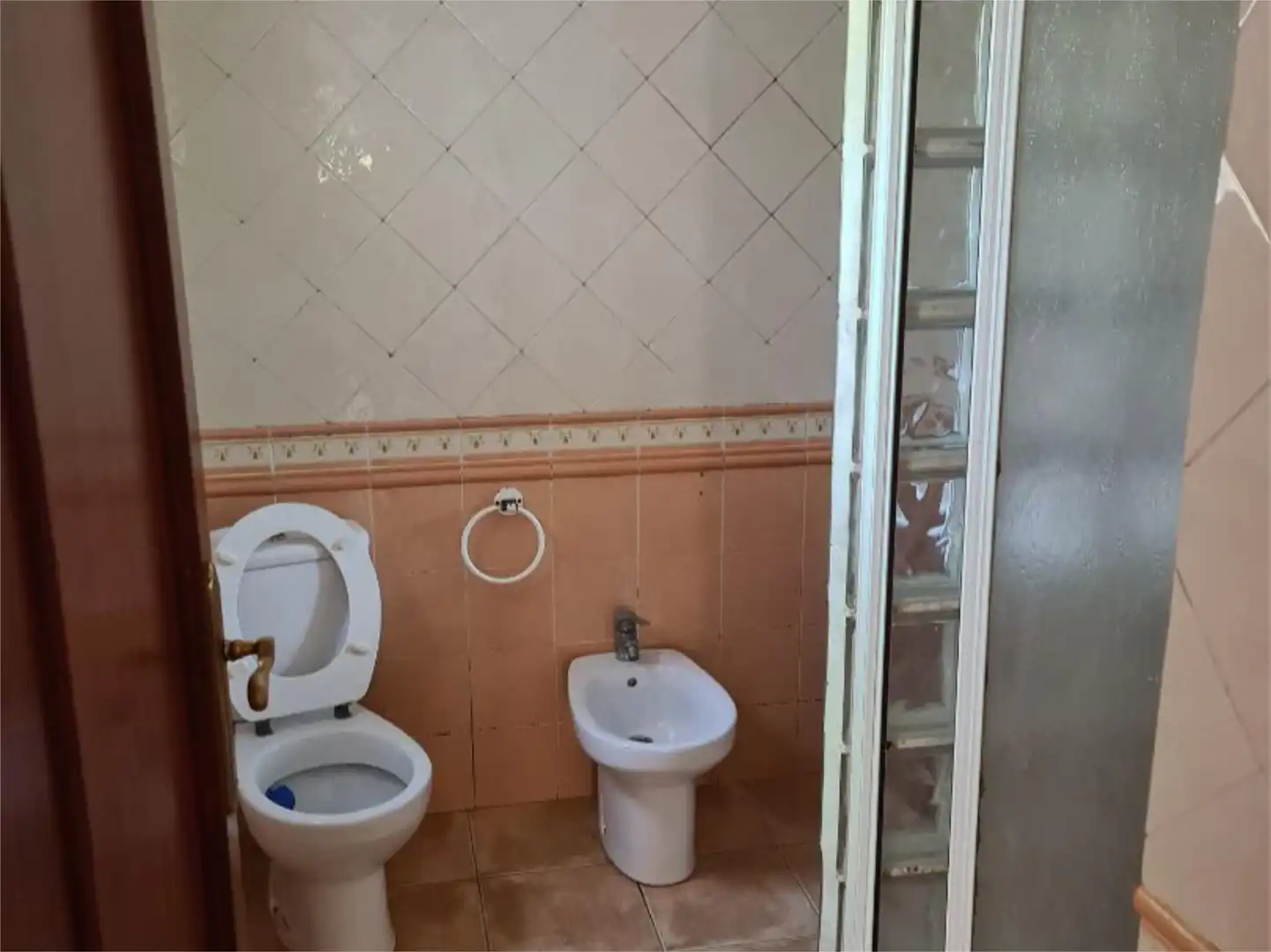 Casa o xalet en venda a Camino de la Arboleja, 17, El Llano Bany de Casa o xalet en venda en Molina de Segura amb Terrassa i Balcó