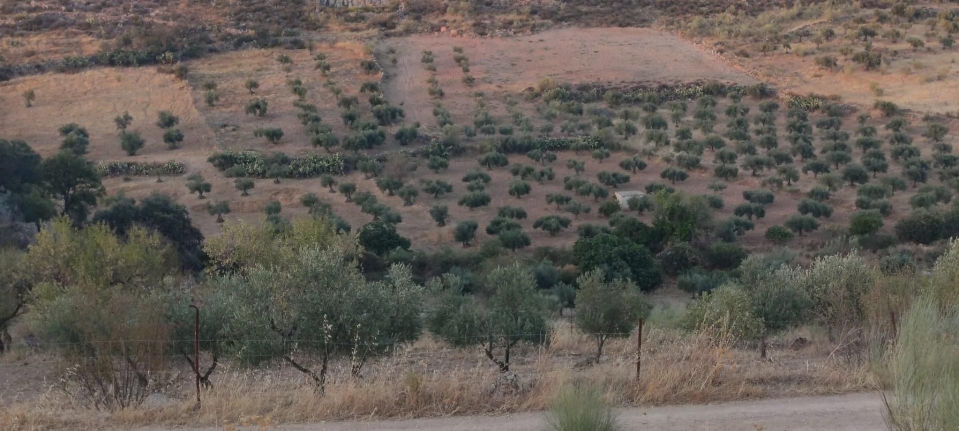 Finca rústica de lloguer en Valle de la Serena amb Jardí privat, Traster i Piscina