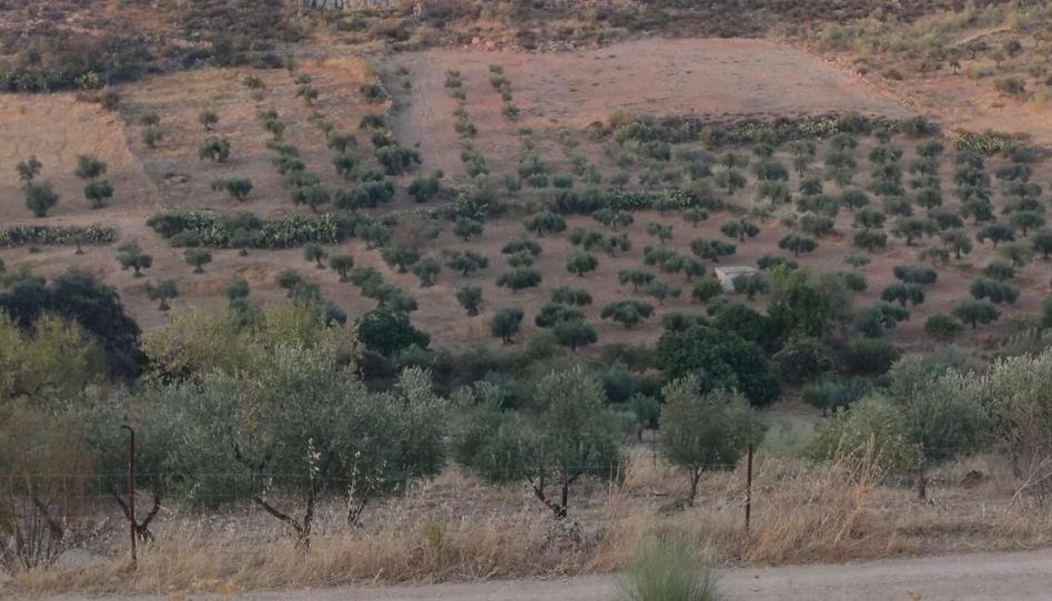 Photo 1 of Country house for sale in Calle Fontanilla, 24, Valle de la Serena, Badajoz