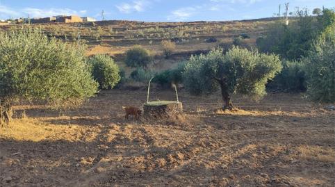 Photo 2 of Country house for sale in Calle Fontanilla, 24, Valle de la Serena, Badajoz