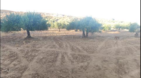 Photo 3 of Country house for sale in Calle Fontanilla, 24, Valle de la Serena, Badajoz