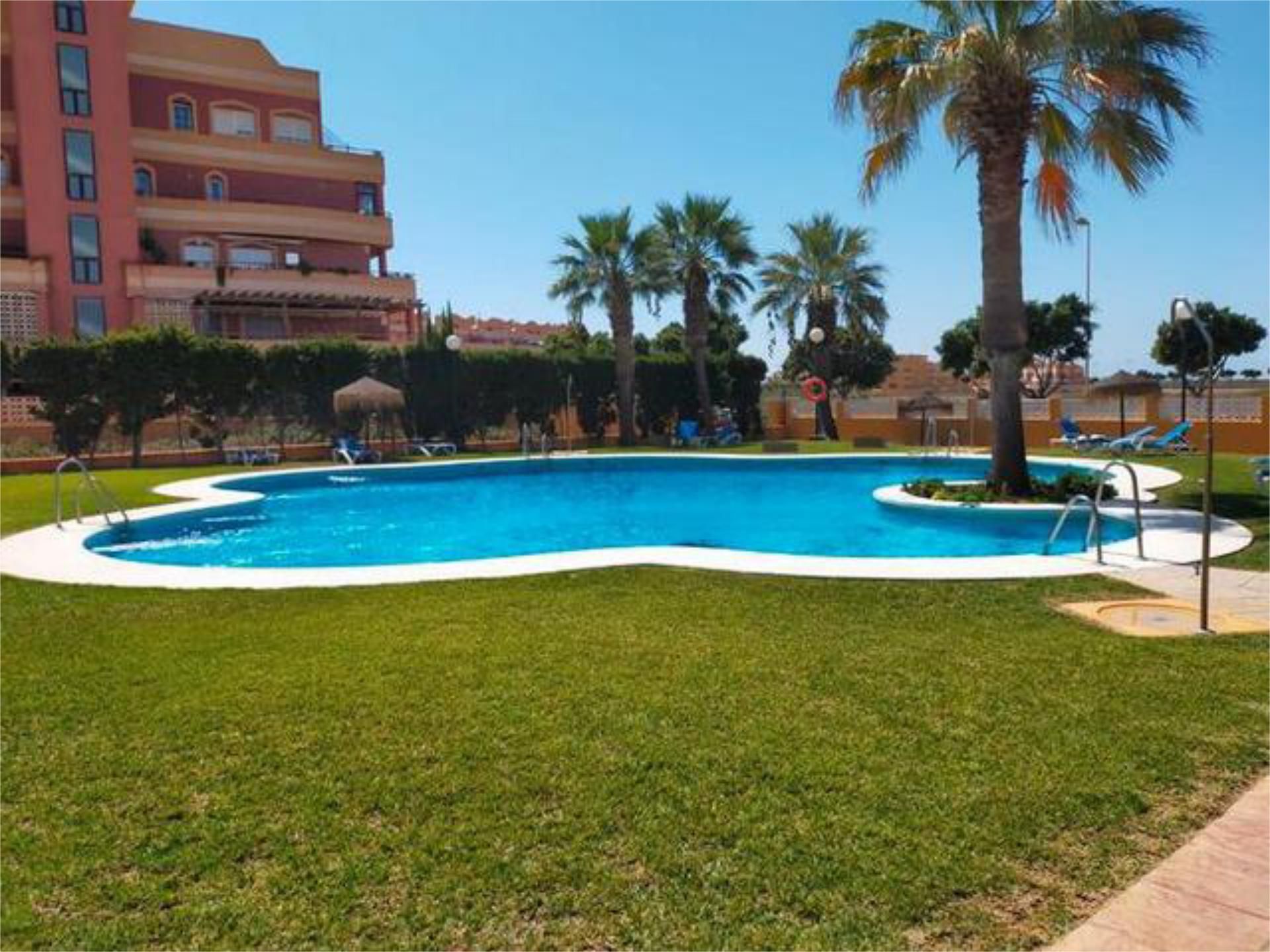 Swimming pool of Flat to rent in Roquetas de Mar  with Private garden, Terrace and Swimming Pool