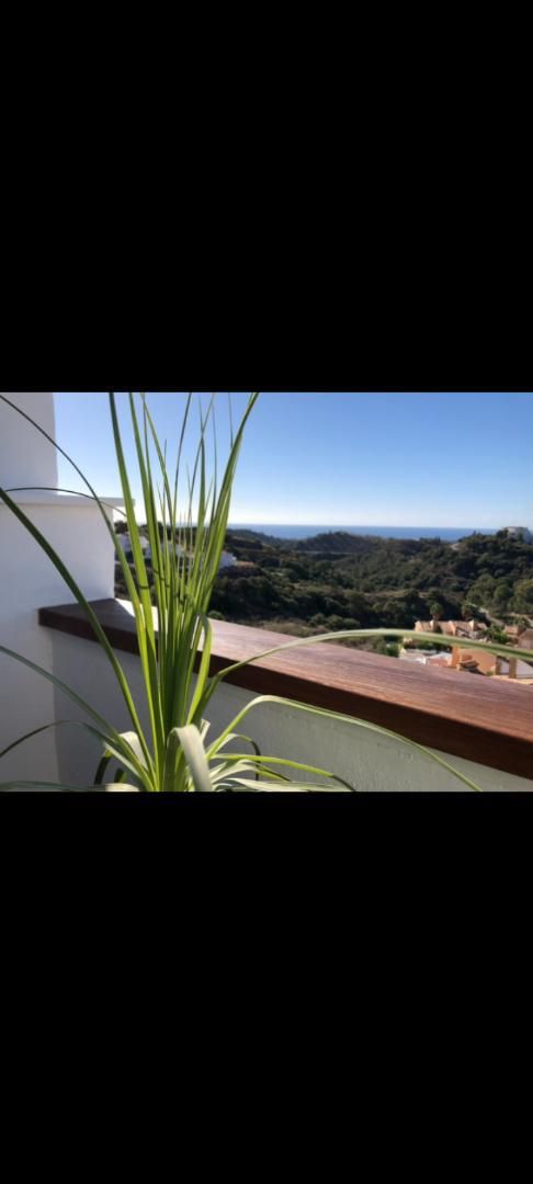 Exterior view of Flat for sale in Estepona  with Terrace, Swimming Pool and Balcony