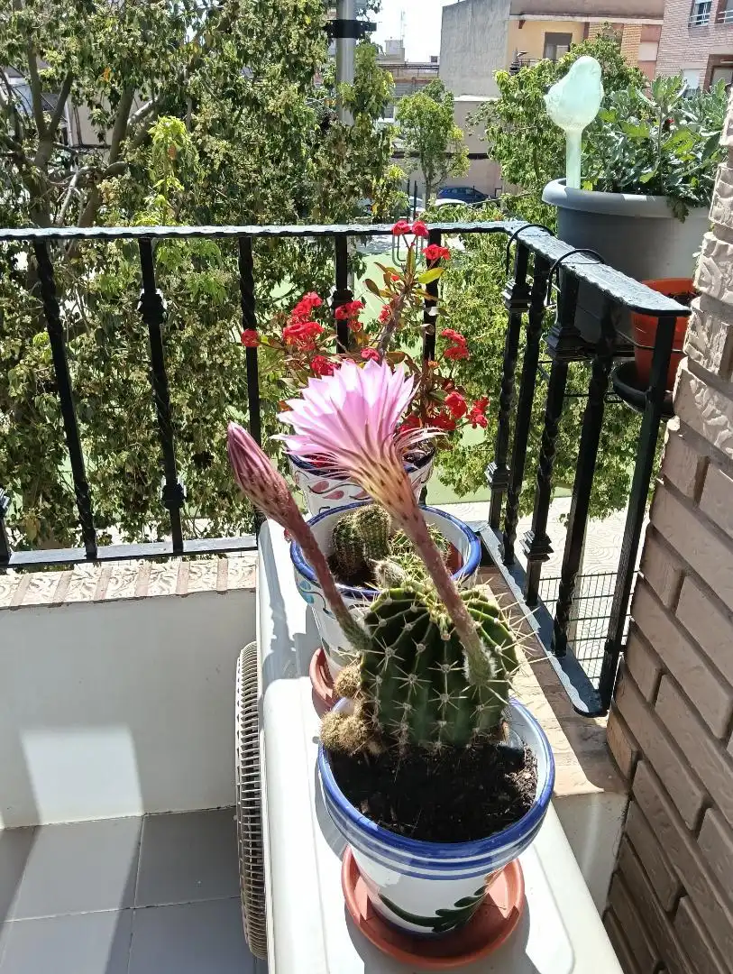 Balcony of Flat for sale in Vilamarxant  with Air Conditioner