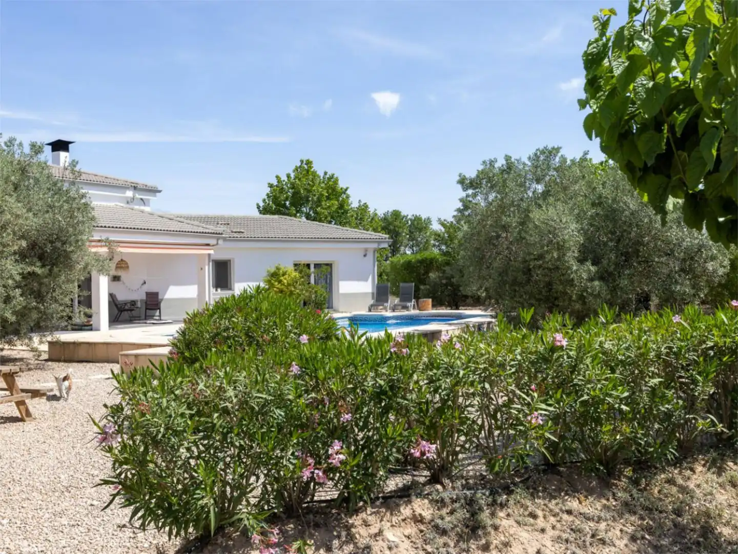 Casa o xalet en venda a Biar Jardí de Casa o xalet en venda en Biar amb Terrassa i Piscina