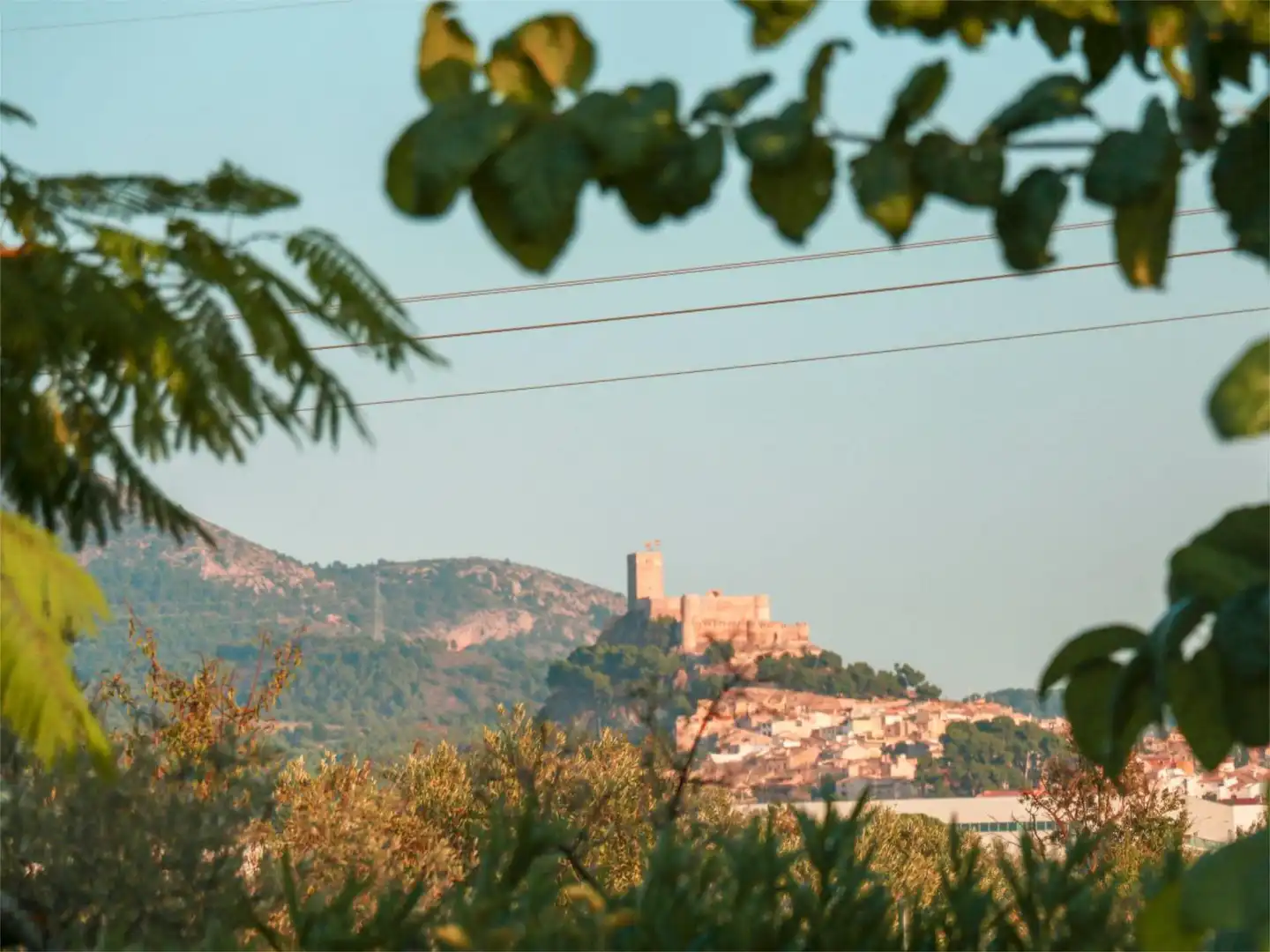 Casa o xalet en venda a Biar Vista exterior de Casa o xalet en venda en Biar amb Terrassa i Piscina