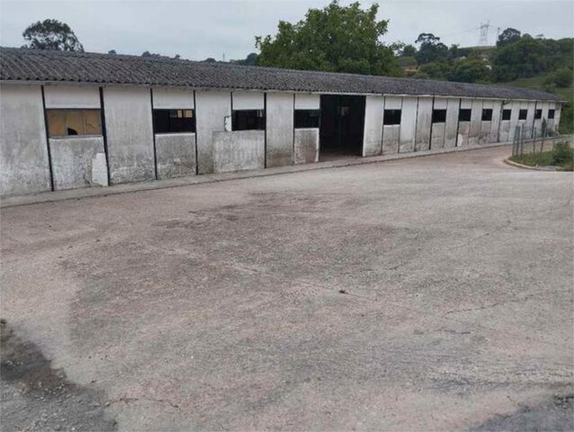 Exterior view of Industrial buildings to rent in Oviedo 