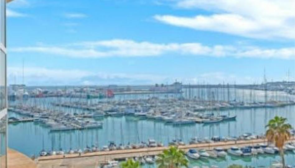 Flat to rent in Avinguda de Gabriel Roca, 1, Es Jonquet, Illes Balears - image 1 Photo 1 of Flat to rent in Avinguda de Gabriel Roca, 1, Es Jonquet, Illes Balears